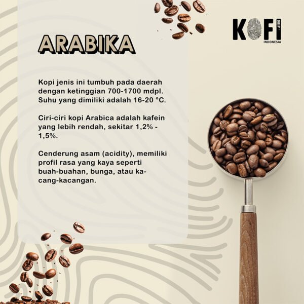 Kopi Drip Arabika-Robusta, Single Origin 6 Sachet